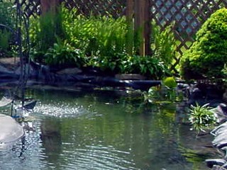 Clean Pond Syndrome