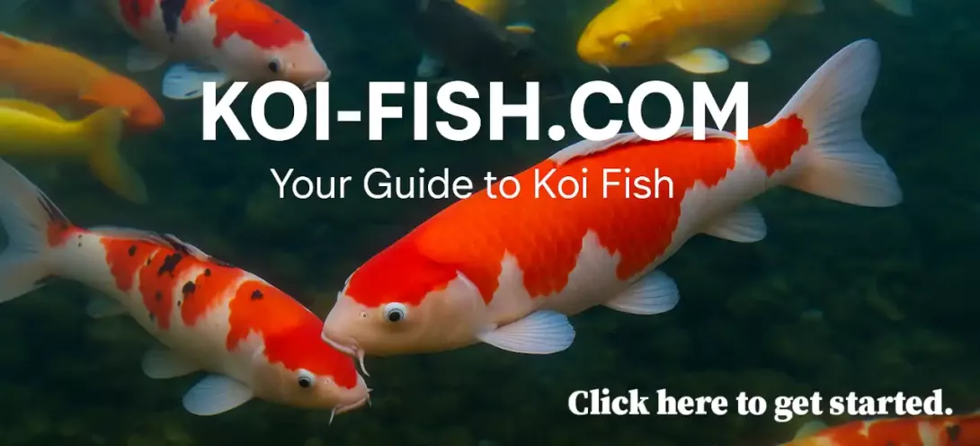 Click here to get started
